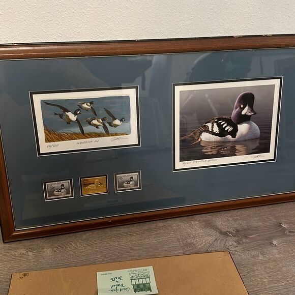 1998 FEDERAL DUCK STAMP PRINT! 1998 BARROW’s GOLDENEYE DRAKE SIGNED  Medallion e - Picture 1 of 9